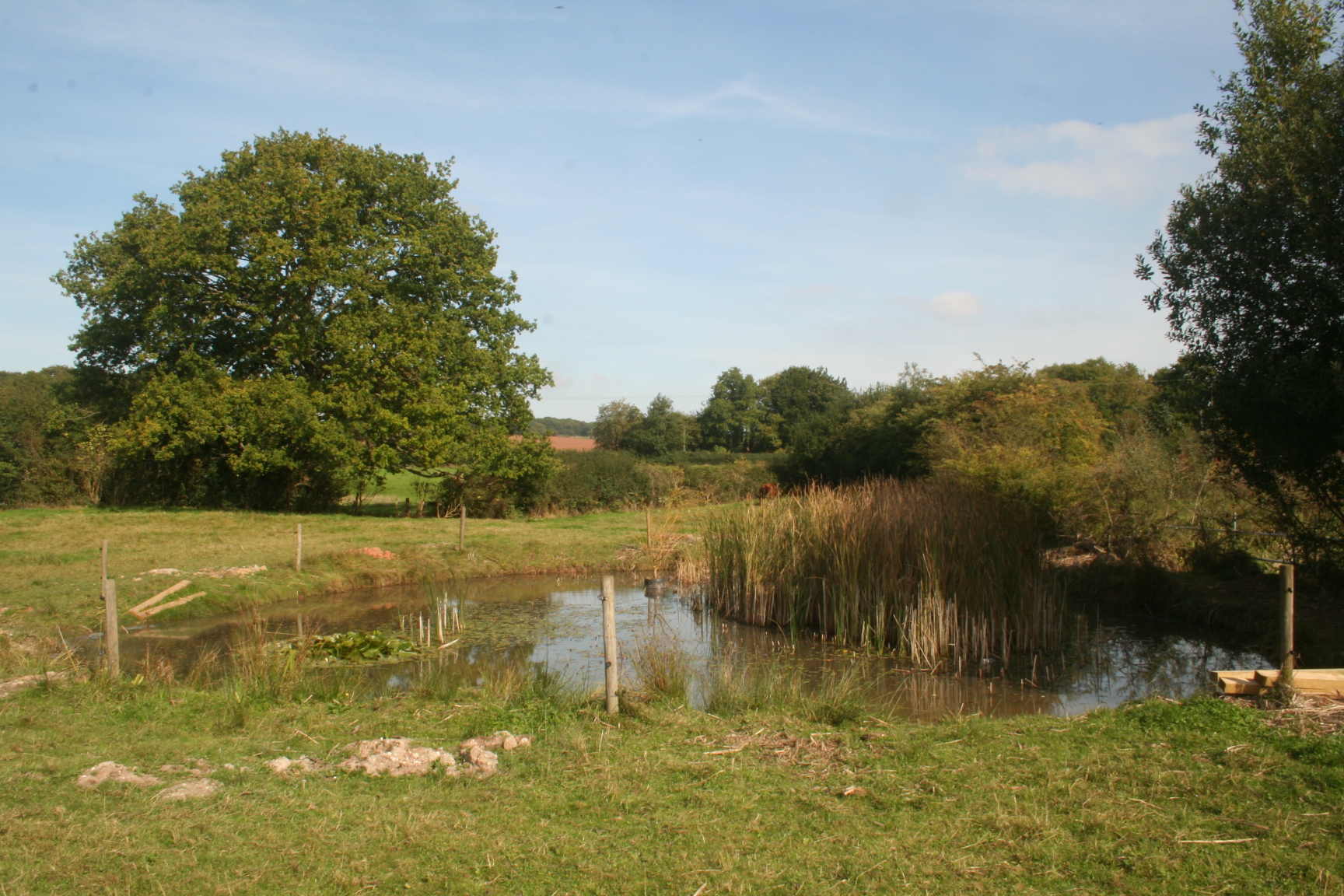 Source of the River Sherbourne